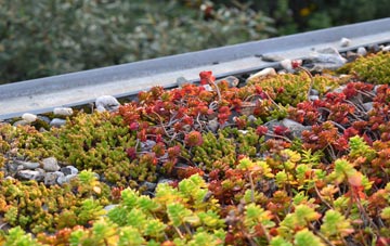 the cost of Court Colman green roof installation