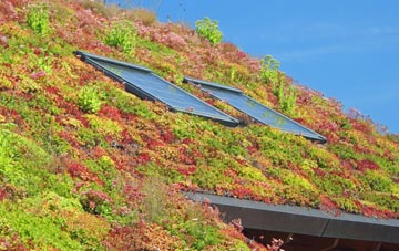 Court Colman living roof systems