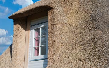 Court Colman thatch roof disadvantages